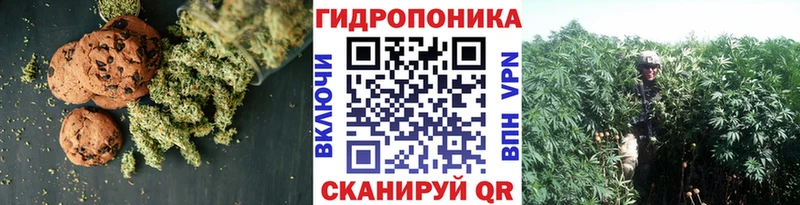 Cannafood марихуана  сколько стоит  Смоленск 