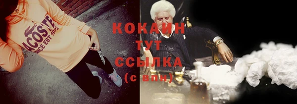 мдпв Навашино