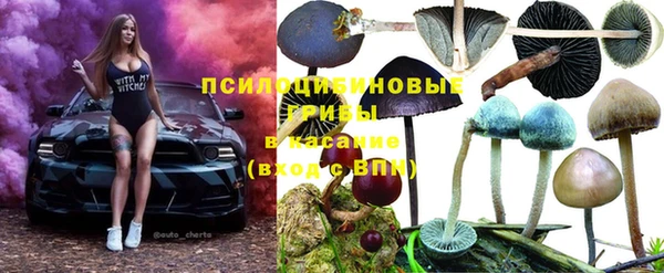 мдпв Навашино