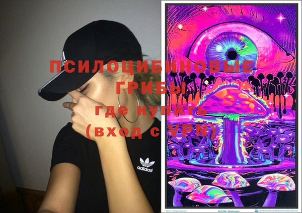 мдпв Навашино