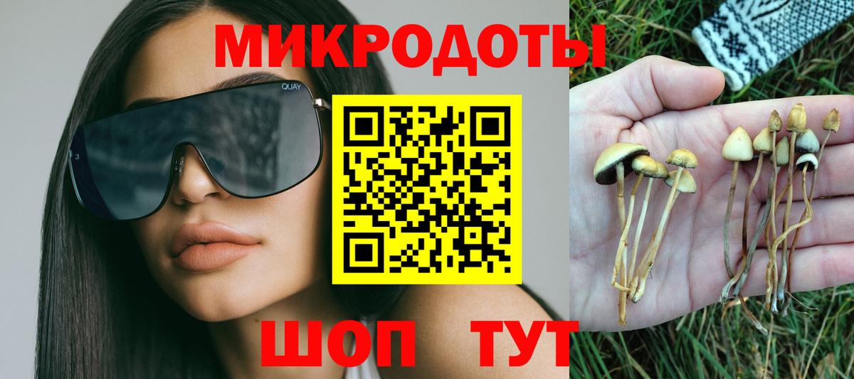Галлюциногенные грибы мухоморы Смоленск